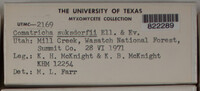 Image Associated With the Occurence